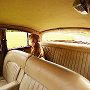 DSC_2539Wilma im Palast.jpg